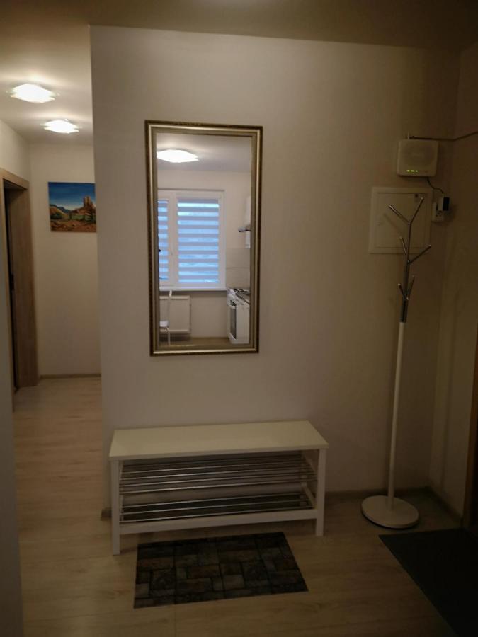 Cosy Appartment In Great Location Каунас Екстериор снимка